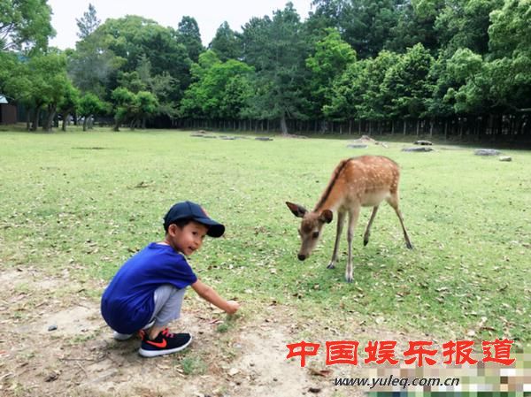 姚晨晒儿子与萌鹿互动 小土豆大脚丫十分抢镜