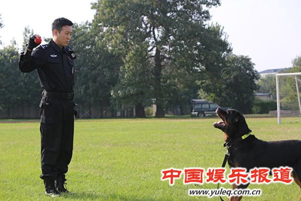 于和伟 警花与警犬